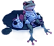 Frog sitting on a leef