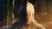 Mummy in close-up